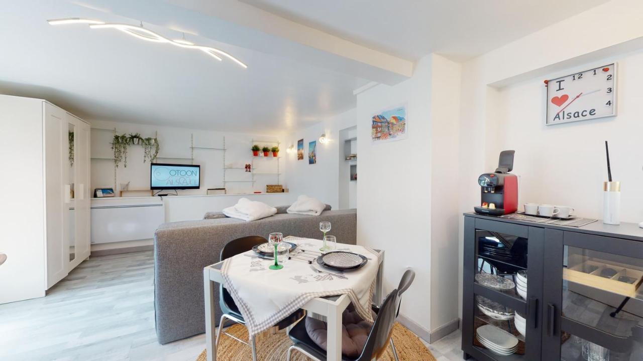 Studio Avec Parking Rue De La Semm Colmar Exterior photo